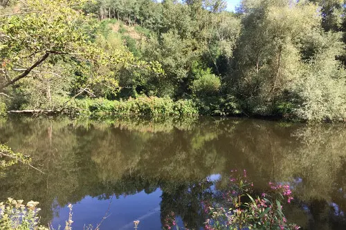 séjour pêche en liberté en Auvergne